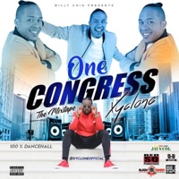 Xyclone One Congress Mixtape by Willy Chin - Xyclone