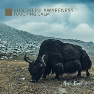 Kundalini Awareness: Touching Calm, Chakra Energy, Ascension to Tibet, Eternal Sunshine, Calm Heart, Healing Power of Tibetan Singing Frequencies, Visayana Flow
