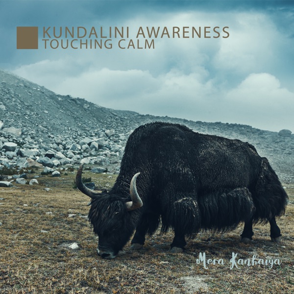 Kundalini Awareness: Touching Calm, Chakra Energy, Ascension to Tibet, Eternal Sunshine, Calm Heart, Healing Power of Tibetan Singing Frequencies, Visayana Flow
