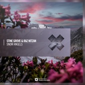 Stine Grove;Raz Nitzan - Snow Angels (Extended Mix)