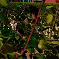 Mitch - Single - Taquan