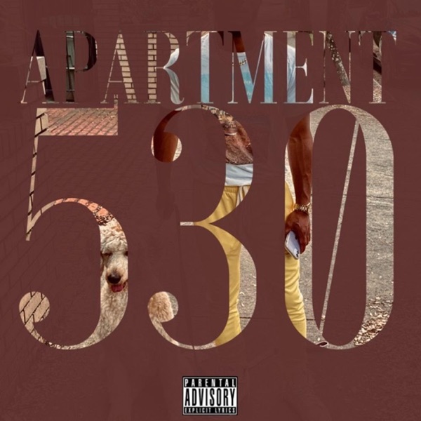 Apartment 530