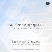 Stimmungsbilder, Op. 9: IV. Traümerei artwork