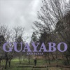 Guayabo - Single