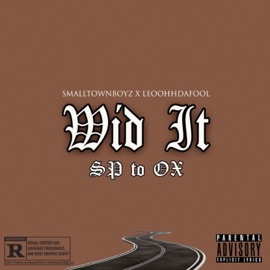 Widdit (feat. SmallTownBoyz) LeoohhDaFool