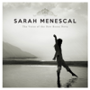 The Voice of the New Bossa Nova - Sarah Menescal