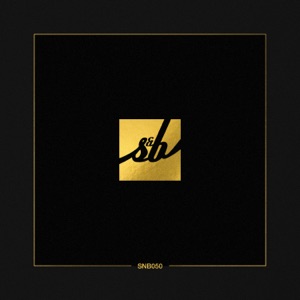 Veilig (Data 3 Remix)