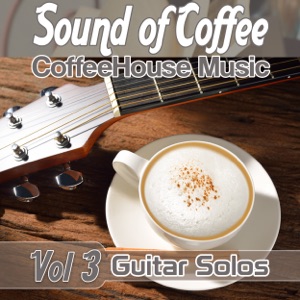 Life Goes On (Guitar Solo)