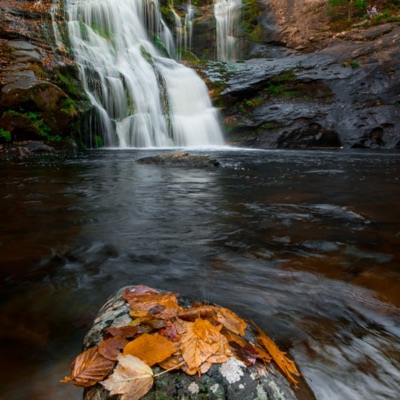 Pretend To Forget Emma Heesters Shazam