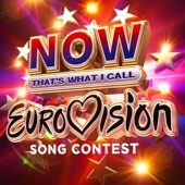 Now That's What I Call Eurovision artwork