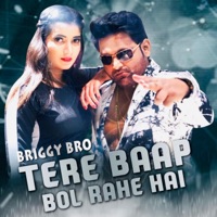 Tere Baap Bol Rahe Hai - Single - Briggy Bro