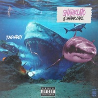 Sharklato & Sharkcake - Single - Yung Marley