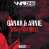 Wish You Well - Single