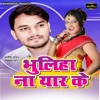 Bhuliha Na Yaar Ke - Single