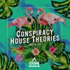 Conspiracy House Theories, Issue 23