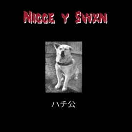 Image Nicce & Swxn