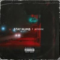 Stay Numb - Single - Jaydense