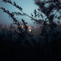 Silhouette - Single - Feverkin