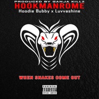 When Snakes Come Out (feat. Hoodie Bubby & Luvvashine) - Single - HookManRome