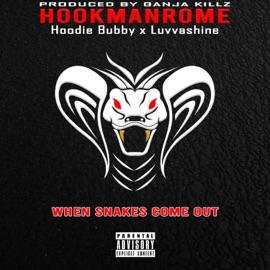 When Snakes Come Out (feat. Hoodie Bubby & Luvvashine) HookManRome