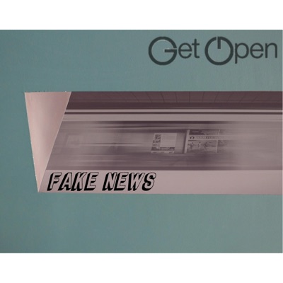 Fake News - Single
