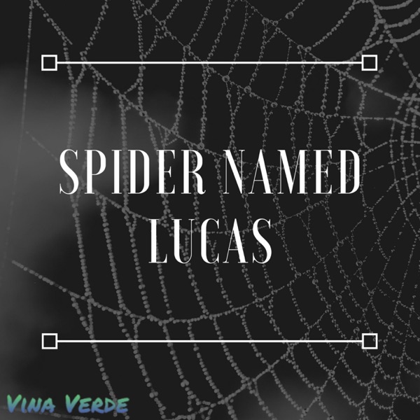 Spider Named Lucas