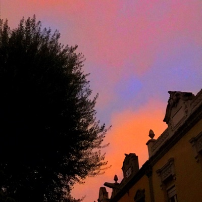 I Bumped Into Someone and Spent Five Minutes Apologizing Before I Realised It Was a Mirror - Single