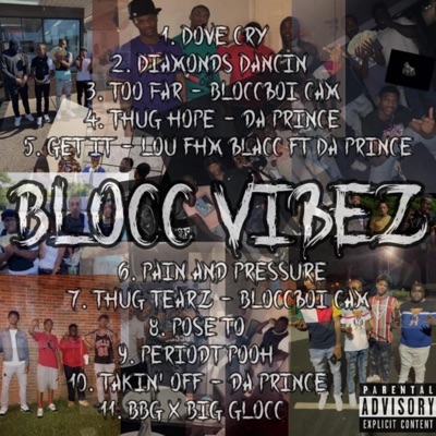 Blocc VibeZ