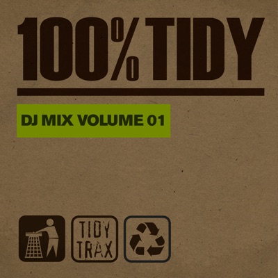 100% Tidy, Vol. 1 (DJ Mix)