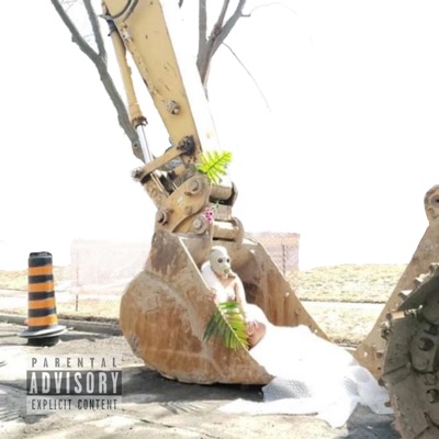 Shirley Ima Temple - Single