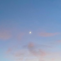 Quantum Breaking Crypto - Single - Scary David & Okazaki