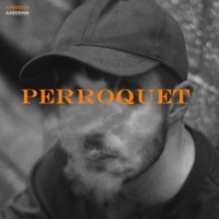 Perroquet - Single - Ashess