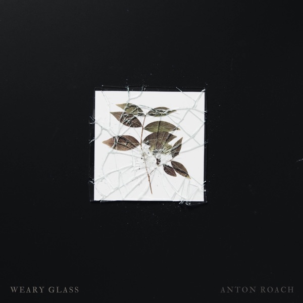 Weary Glass