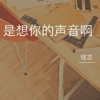 铭志 - 是想你的声音啊