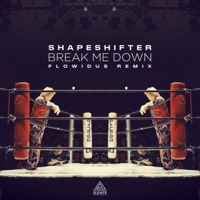 Break Me Down (Flowidus Remix) - Single - Shapeshifter