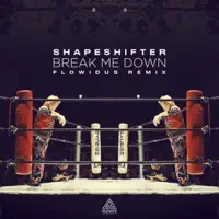Break Me Down (Flowidus Remix)