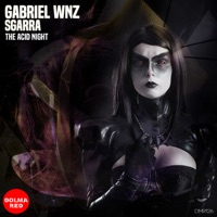 The Acid Night - Single - Gabriel Wnz