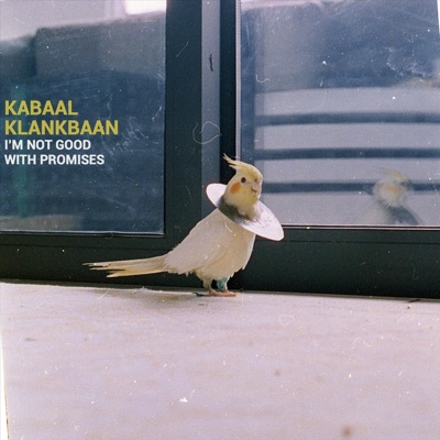 I'm Not Good with Promises - Single