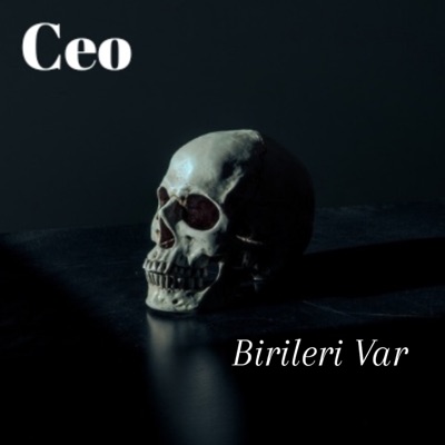 Birileri Var - Single