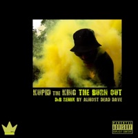 The Burn Out (Dnb Remix) - Single - Kupid the King