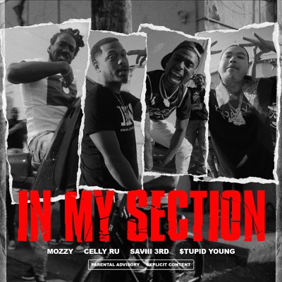 In My Section (feat. Saviii 3rd & $tupid Young) - Single