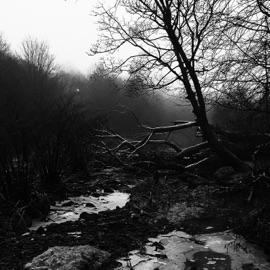 Please Don't Break My Hert Hypnokid