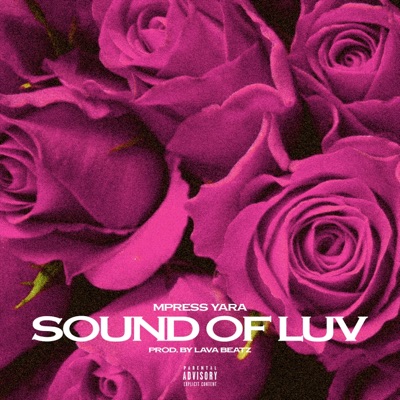 Sound of Luv - Single