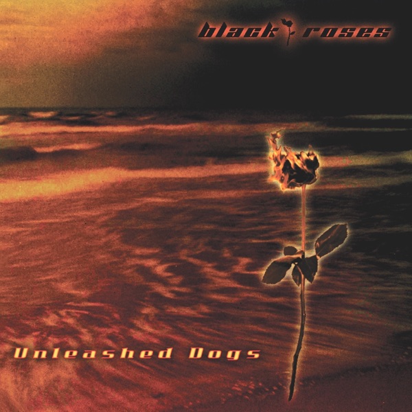 Unleashed Dogs
