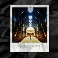 Nu Ma Mai Misca Nimic - Single - Serotone