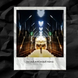 Nu Ma Mai Misca Nimic Serotone