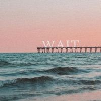 Wait - Single - Strawbrry