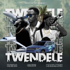 TWENDELE (feat. Mark Mick & Kavali) CDAVE HONCHO