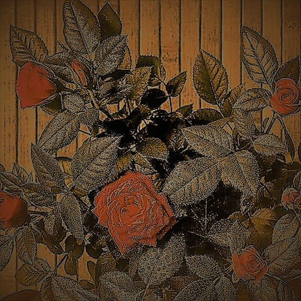 Luna Ice - Single
