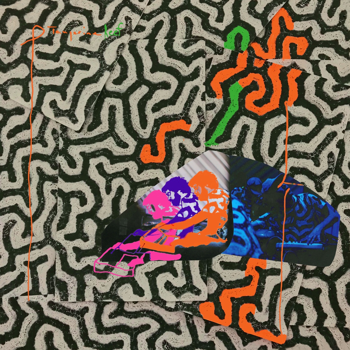 Hollinndagain | Animal Collective